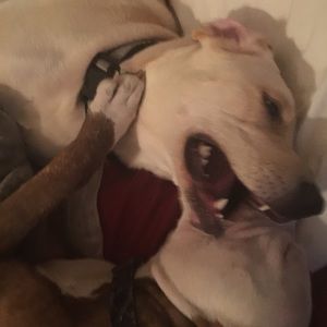 Meet your Posher, Kyle